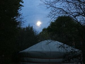 NUIT DE CÉRÉMONIE MEDECINE AMAZONIENNE